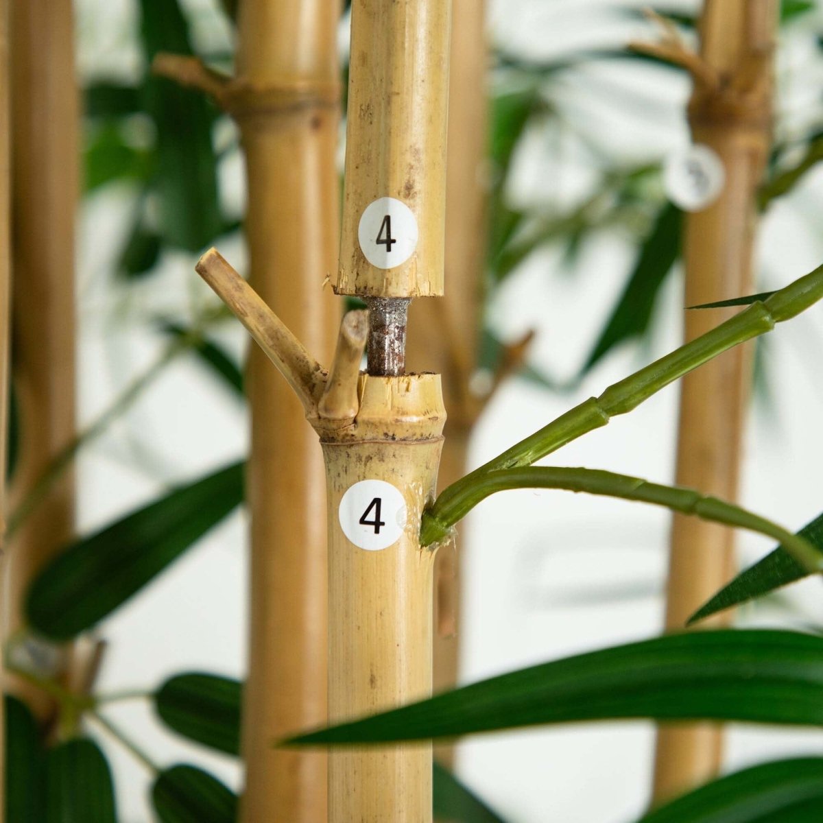 10’ Artificial Bamboo Tree with Real Bamboo Trunks - Ed's Plant Shop