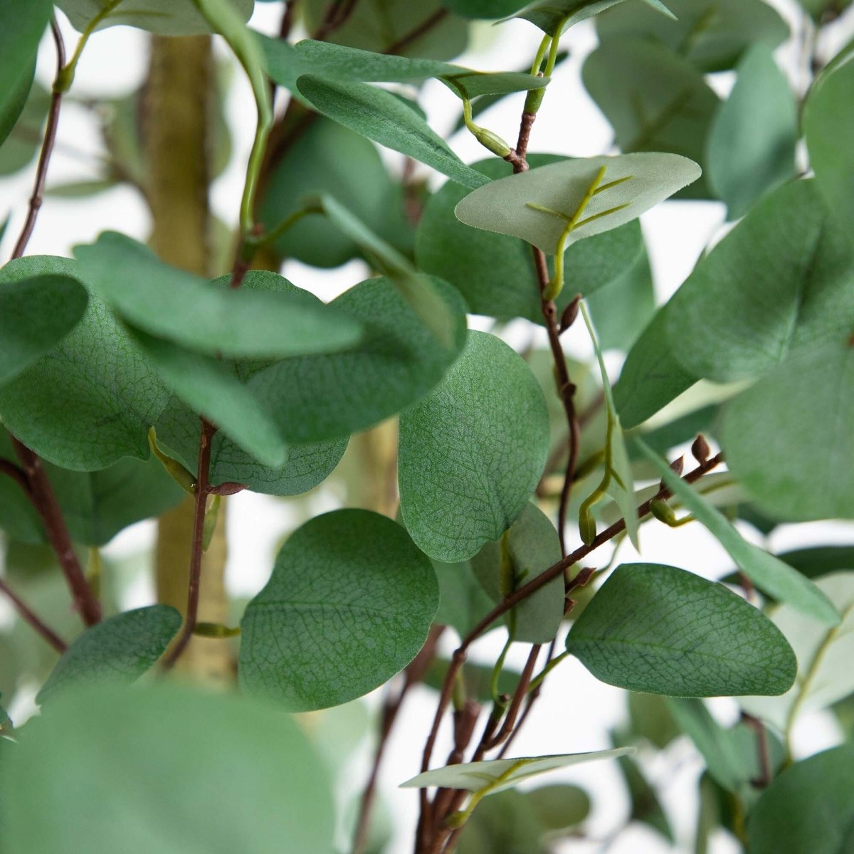 10’ Artificial Eucalyptus Tree – Elegant Faux Decor - Ed's Plant Shop