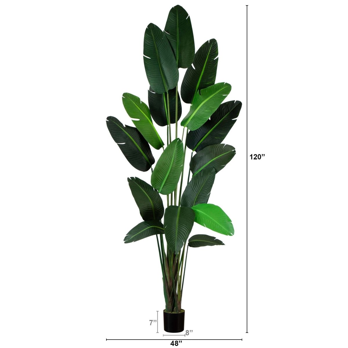 10’ Artificial Travelers Palm Tree – Grand Tropical Statement - Ed's Plant Shop