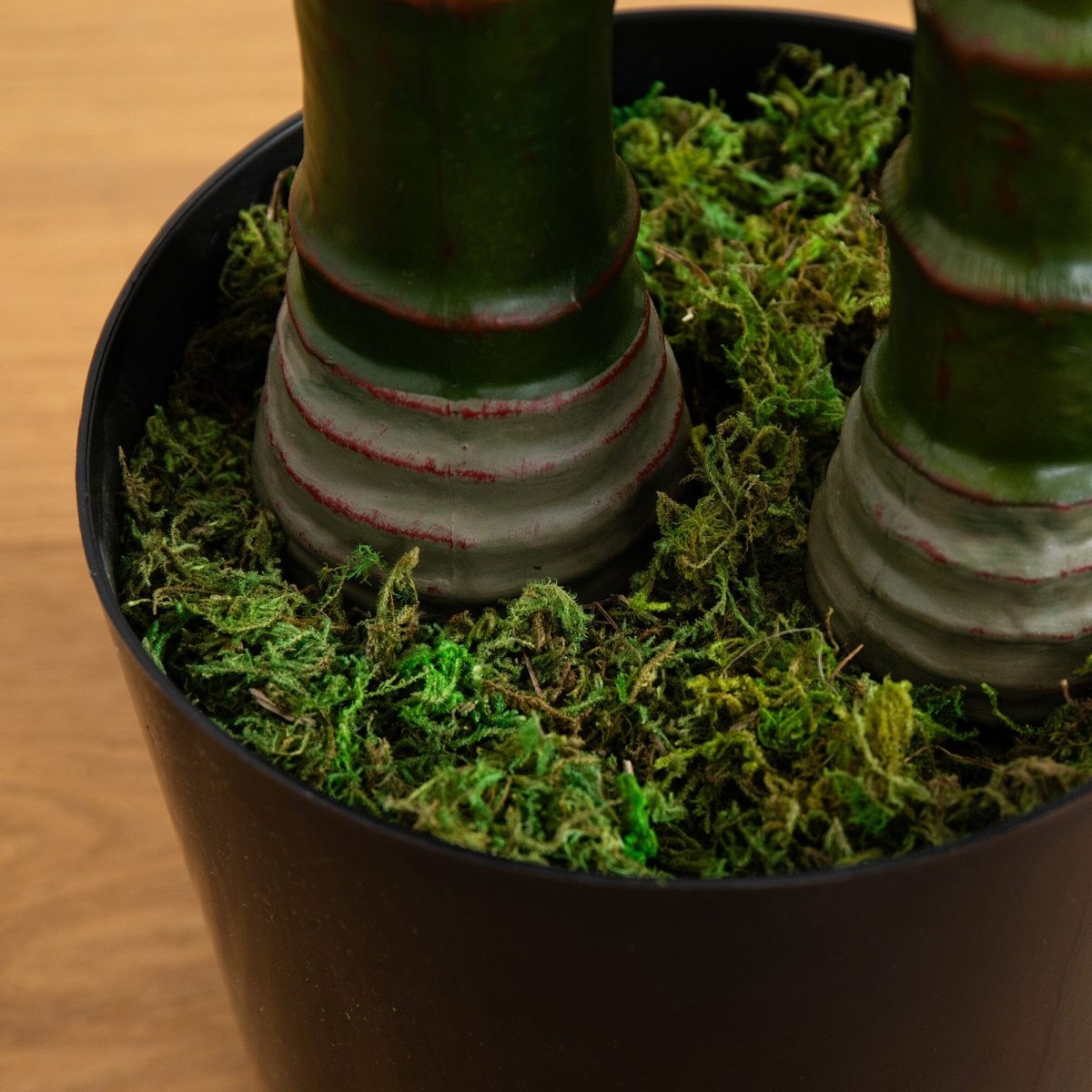 10 - ft UV Resistant Artificial Double Robellini Palm Tree (Indoor/Outdoor) - Ed's Plant Shop