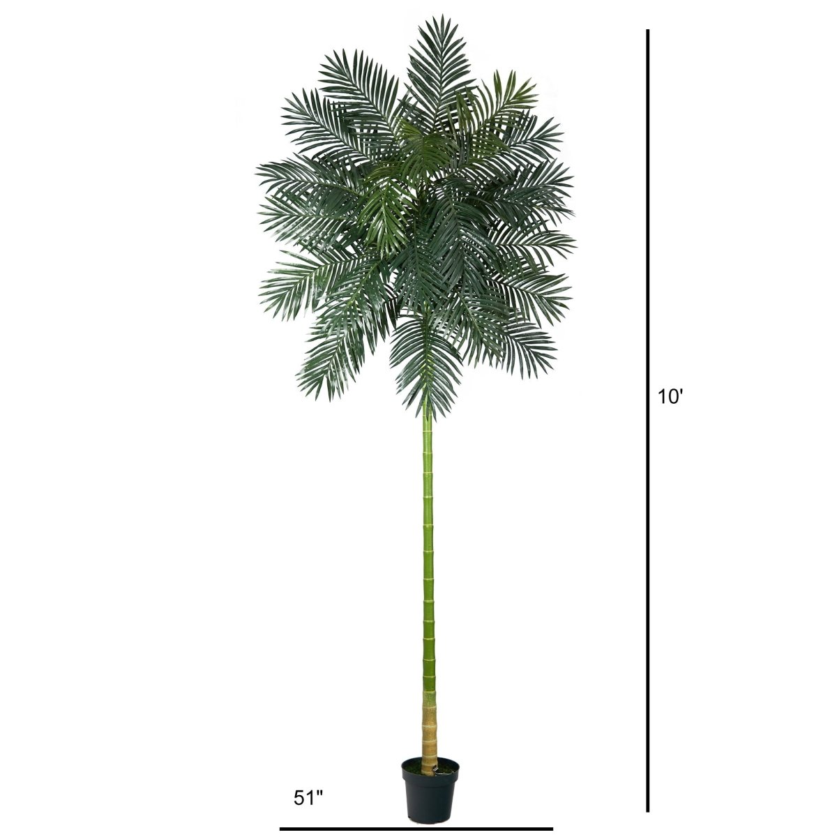 10’ Golden Cane Artificial Palm Tree height and width