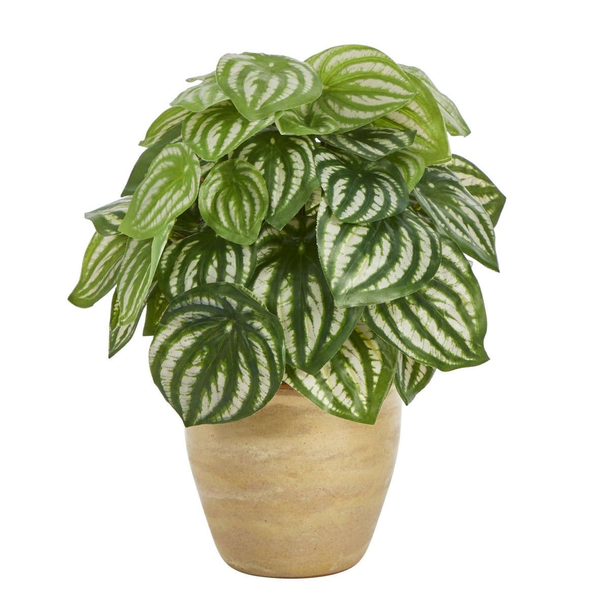 11‑inch Watermelon Peperomia artificial plant with variegated green leaves in a white ceramic planter