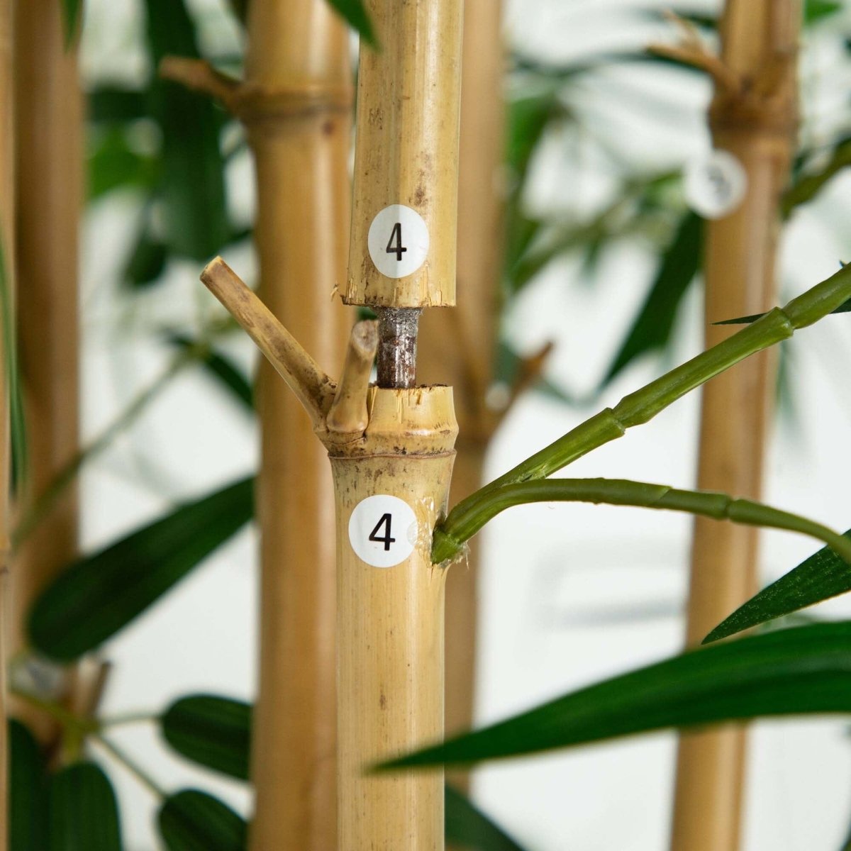 12’ Artificial Bamboo Tree with Real Bamboo Trunks - Ed's Plant Shop