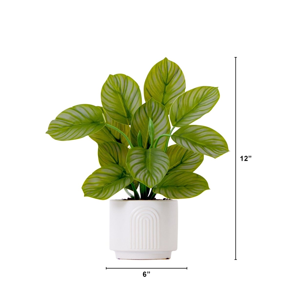 12" Artificial Calathea Plant with Decorative Planter - Ed's Plant Shop