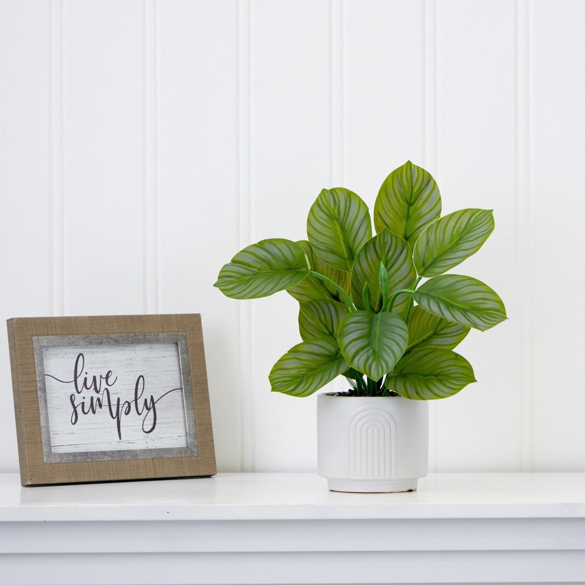 12" Artificial Calathea Plant with Decorative Planter - Ed's Plant Shop