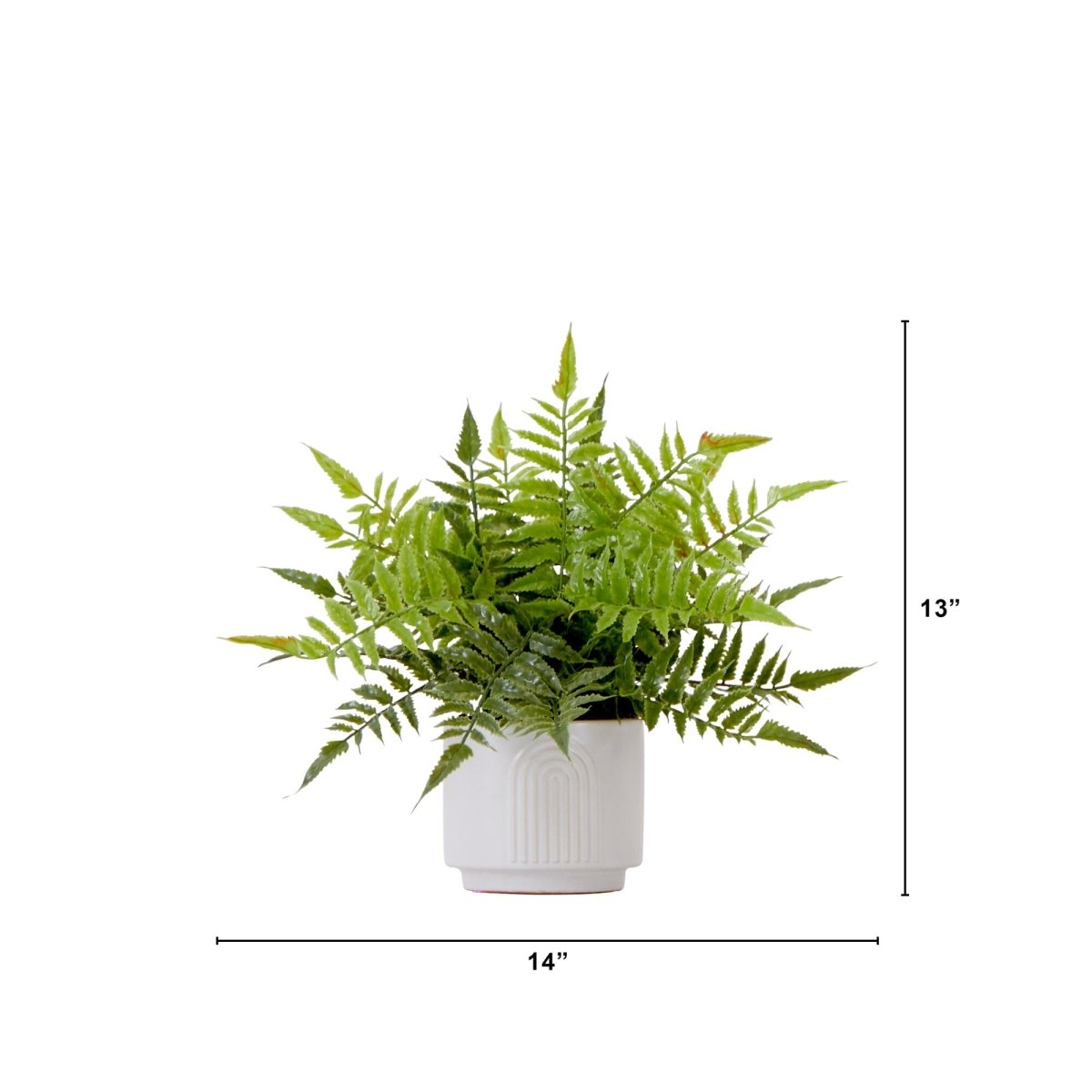 13" Artificial Boston Fern Plant with Decorative Planter - Ed's Plant Shop