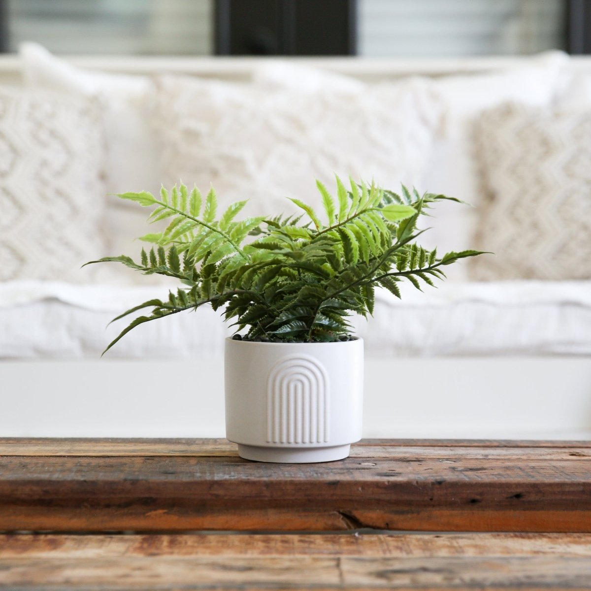 13" Artificial Boston Fern Plant with Decorative Planter - Ed's Plant Shop