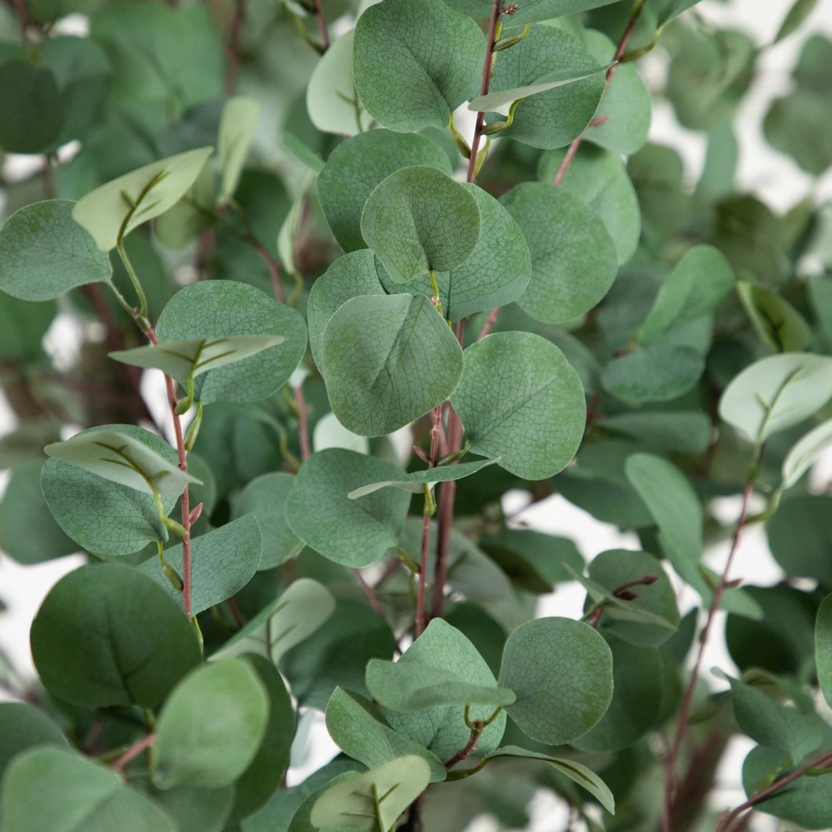 13' Artificial Eucalyptus Tree – Bring Natural Serenity to Any Space - Ed's Plant Shop