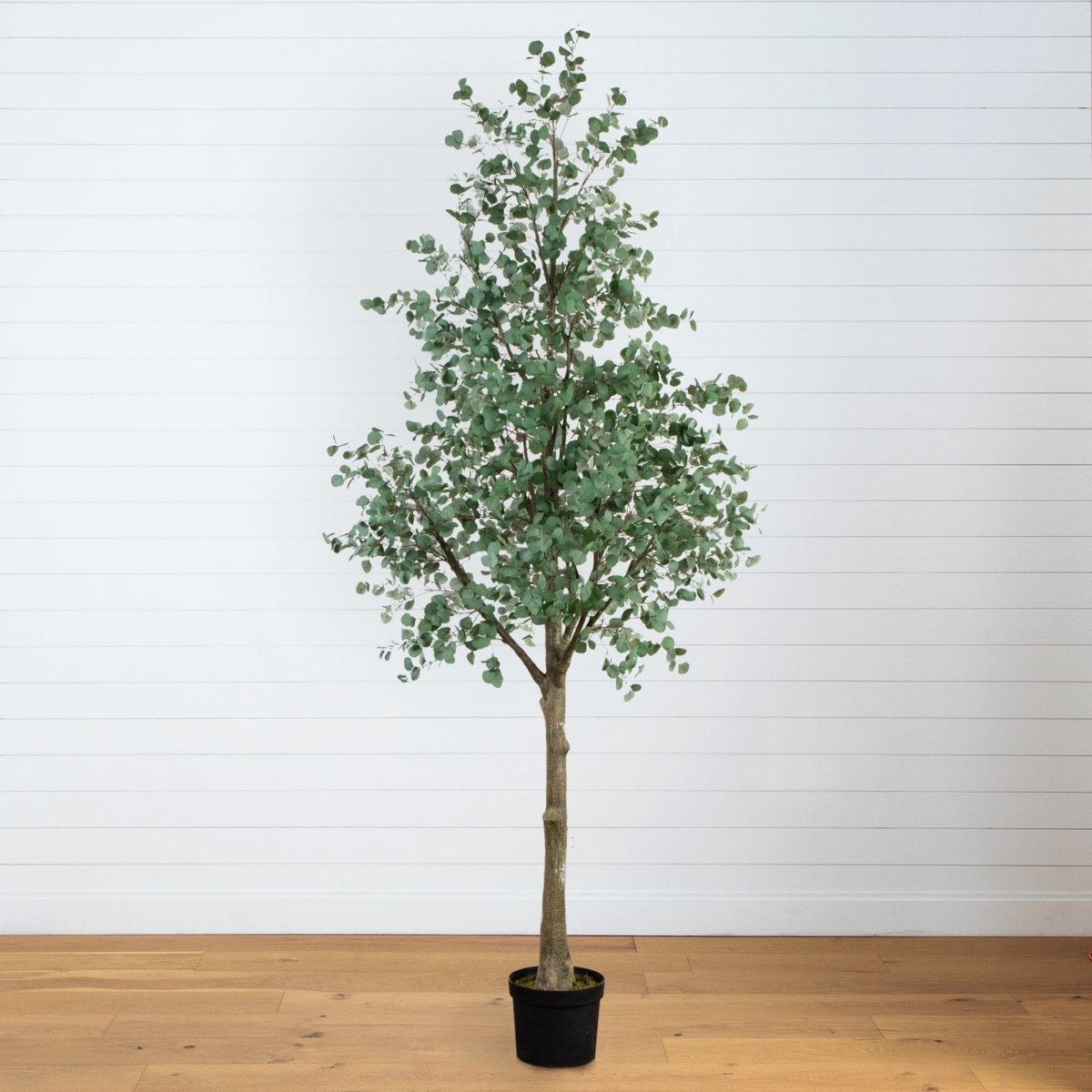 13' Artificial Eucalyptus Tree – Bring Natural Serenity to Any Space - Ed's Plant Shop
