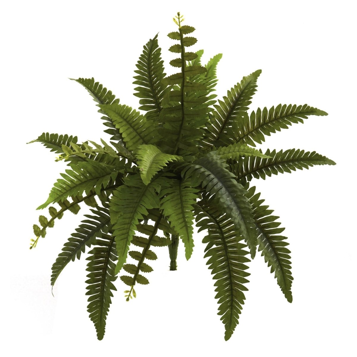 14 - in Artificial Boston Fern (Set of 6) – Lifelike Faux Ferns - Ed's Plant Shop