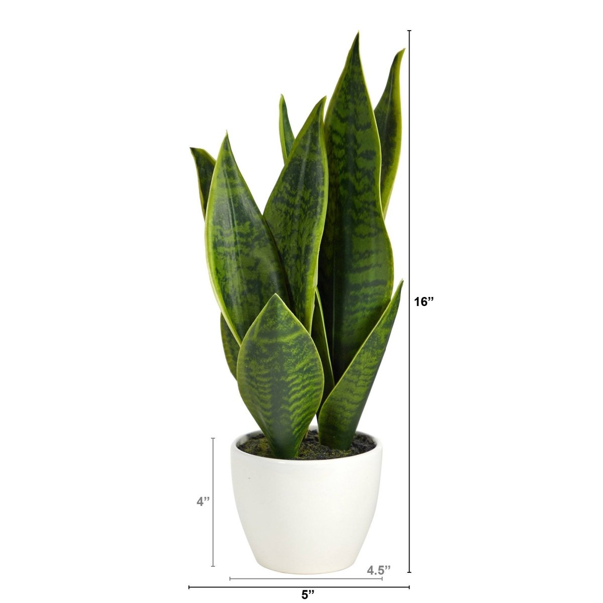 16” Faux Snake Plant – Realistic Sansevieria in White Planter - Ed's Plant Shop