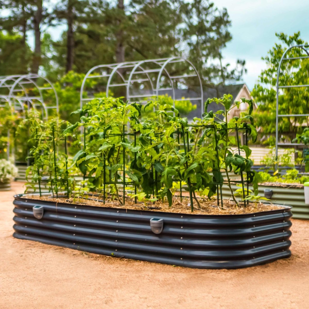 17" Tall 10 In 1 Jumbo Modular Metal Raised Garden Bed Kit - Ed's Plant Shop