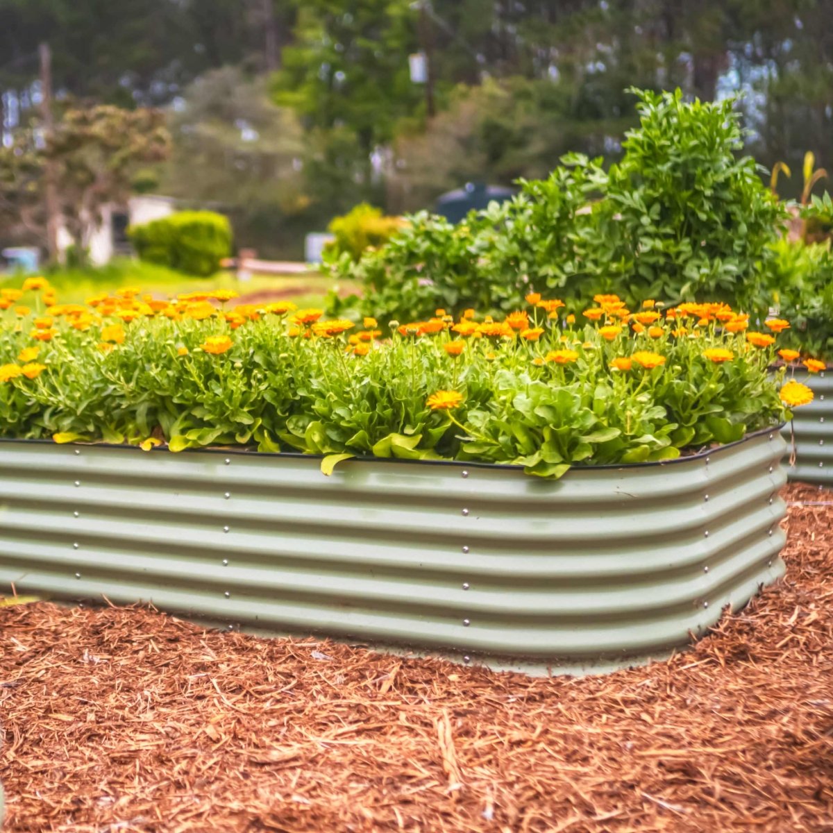 17" Tall 10 In 1 Jumbo Modular Metal Raised Garden Bed Kit - Ed's Plant Shop