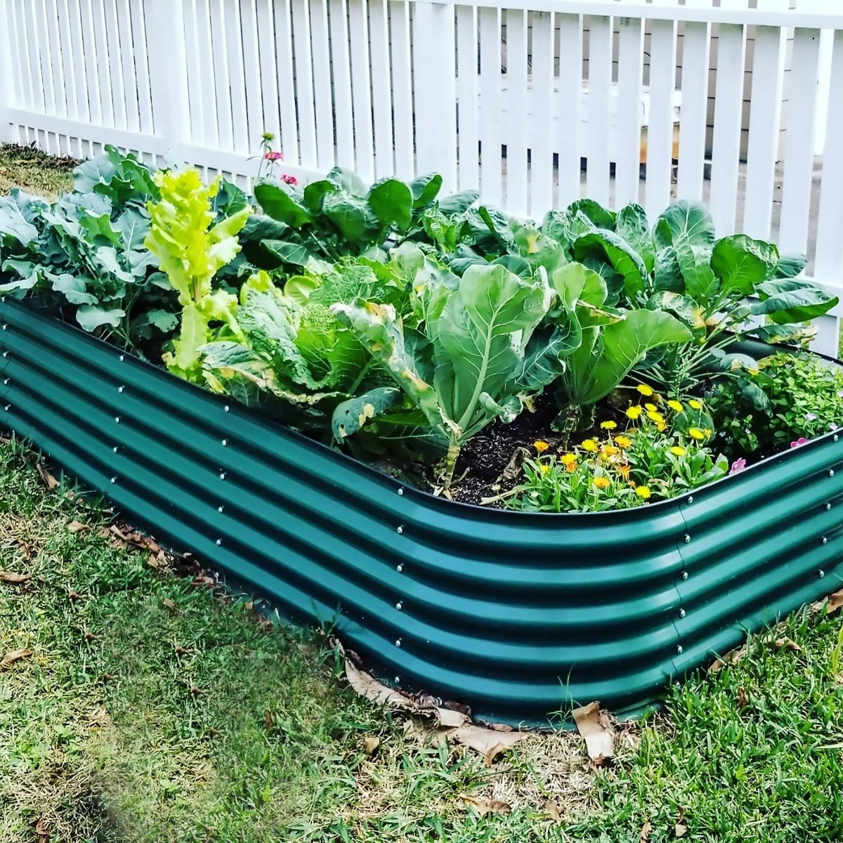 17" Tall 10 In 1 Jumbo Modular Metal Raised Garden Bed Kit - Ed's Plant Shop