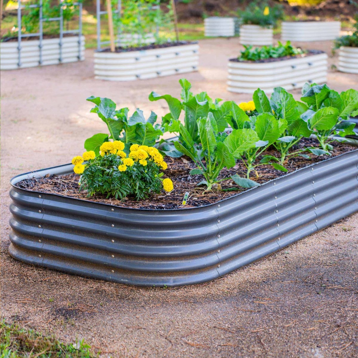 17" Tall 10 In 1 Jumbo Modular Metal Raised Garden Bed Kit - Ed's Plant Shop