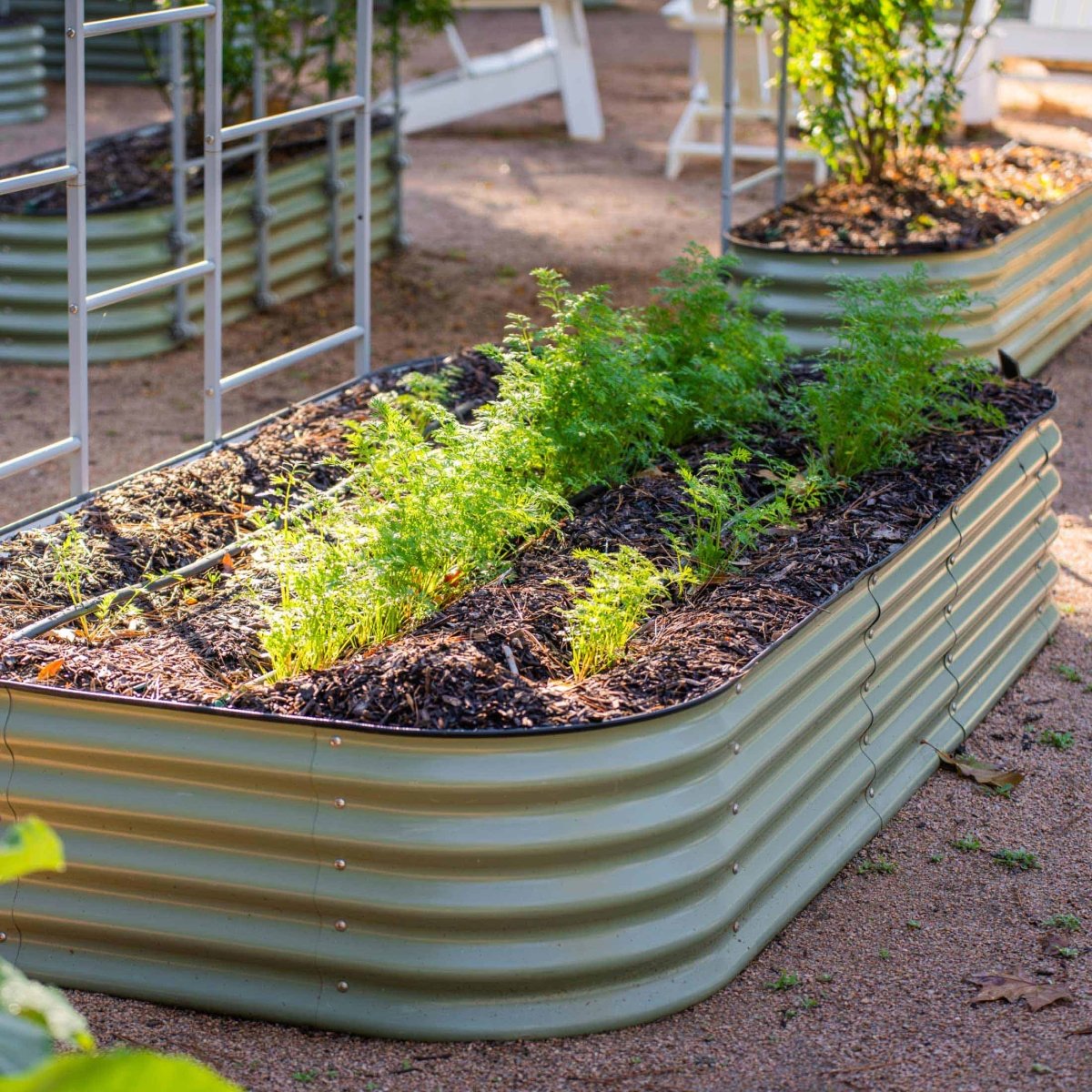 17" Tall 10 In 1 Jumbo Modular Metal Raised Garden Bed Kit - Ed's Plant Shop