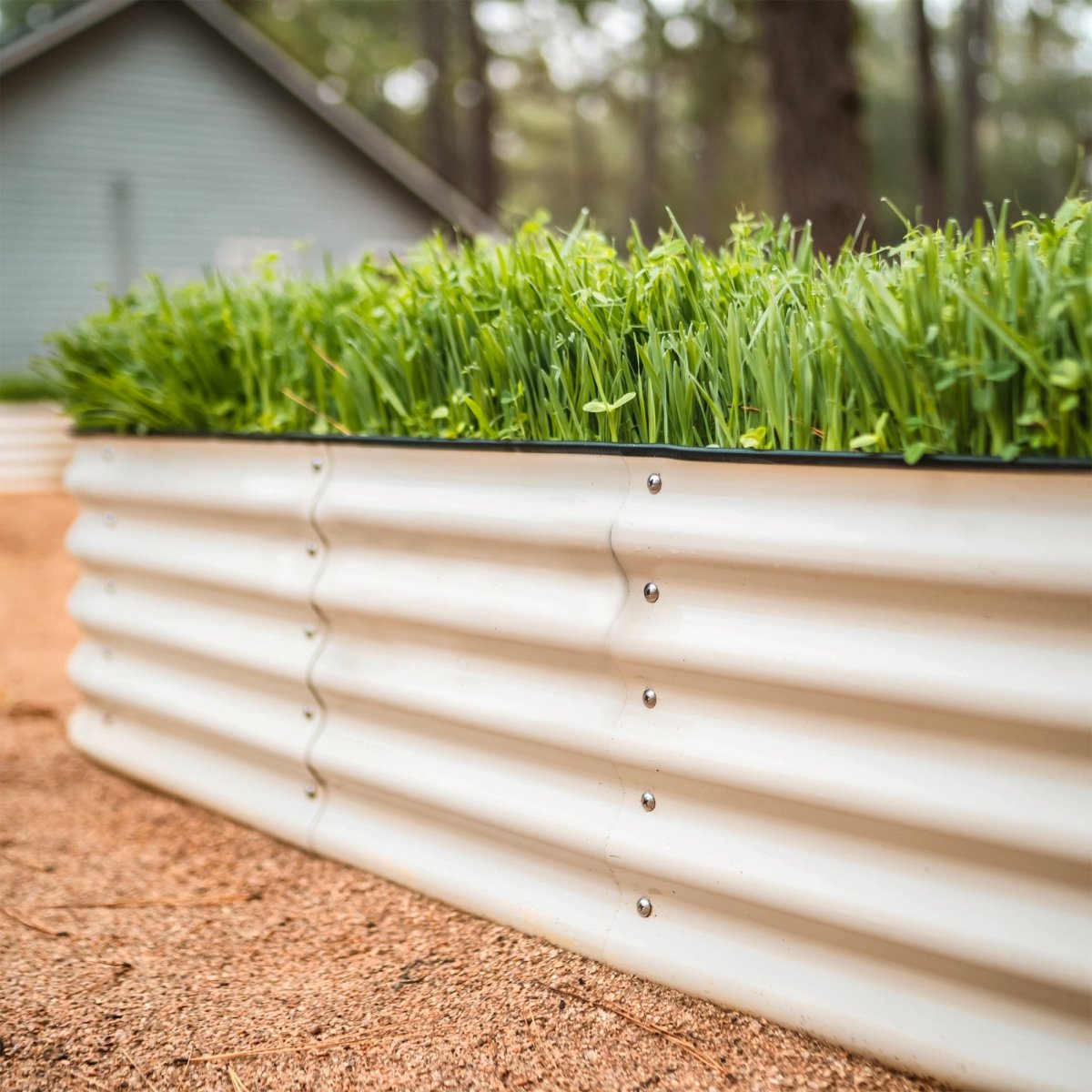 17" Tall 4 In 1 Small Modular Metal Raised Garden Bed Kit - Ed's Plant Shop