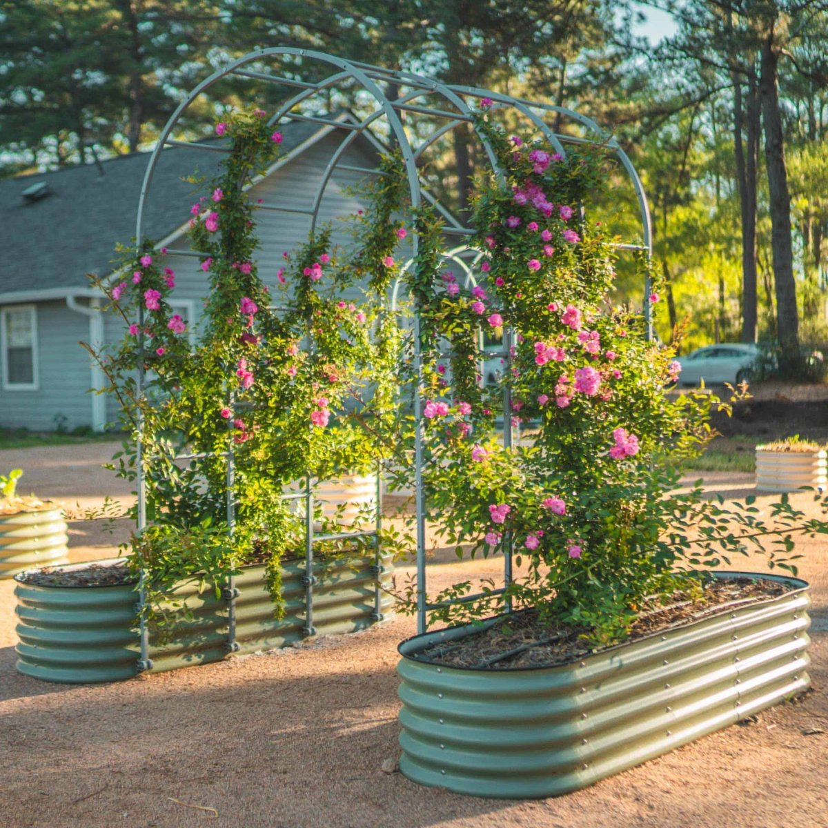 17" Tall 6 In 1 Medium Modular Metal Raised Garden Bed Kit - Ed's Plant Shop