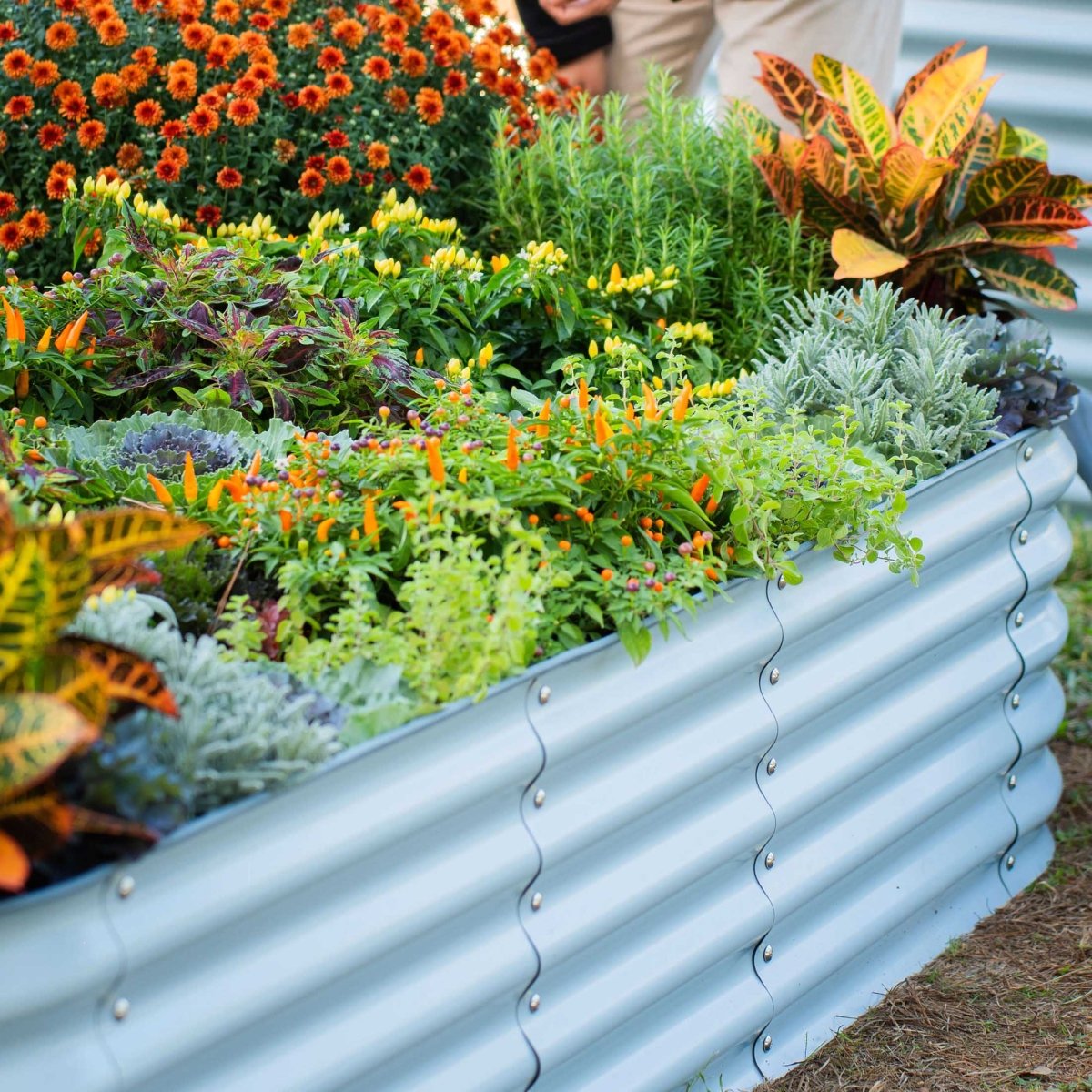 17" Tall 6 In 1 Medium Modular Metal Raised Garden Bed Kit - Ed's Plant Shop