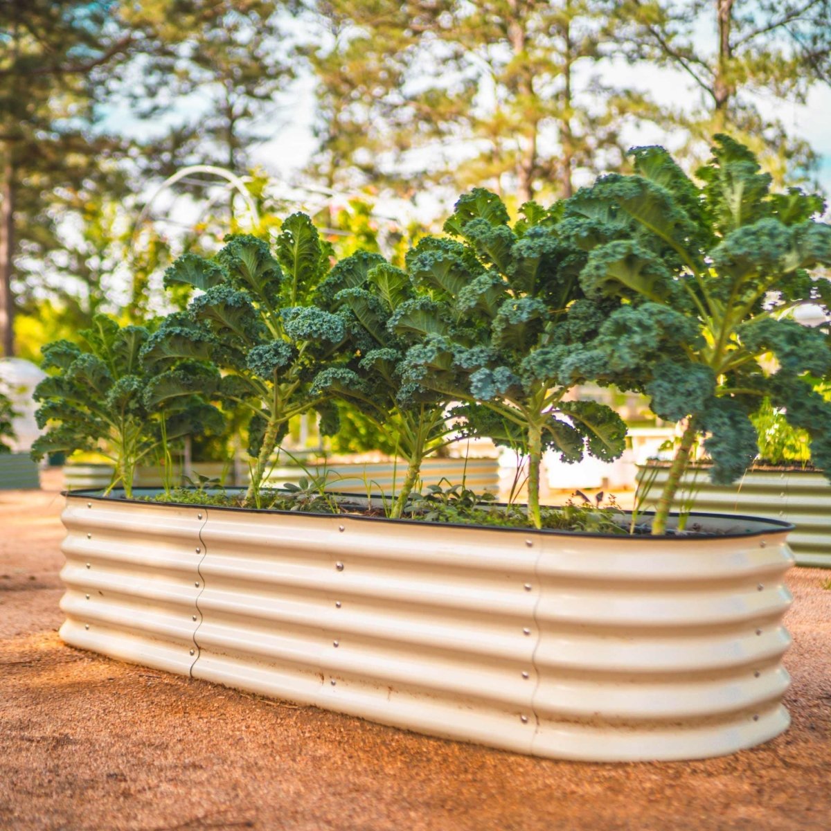 17" Tall 6 In 1 Medium Modular Metal Raised Garden Bed Kit - Ed's Plant Shop