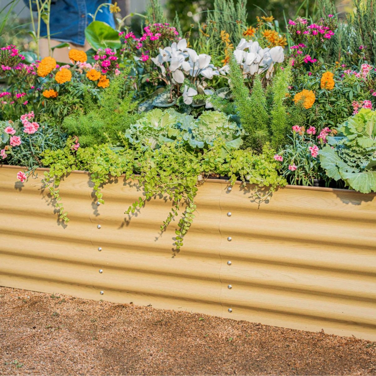 17" Tall 6 In 1 Medium Modular Metal Raised Garden Bed Kit - Ed's Plant Shop