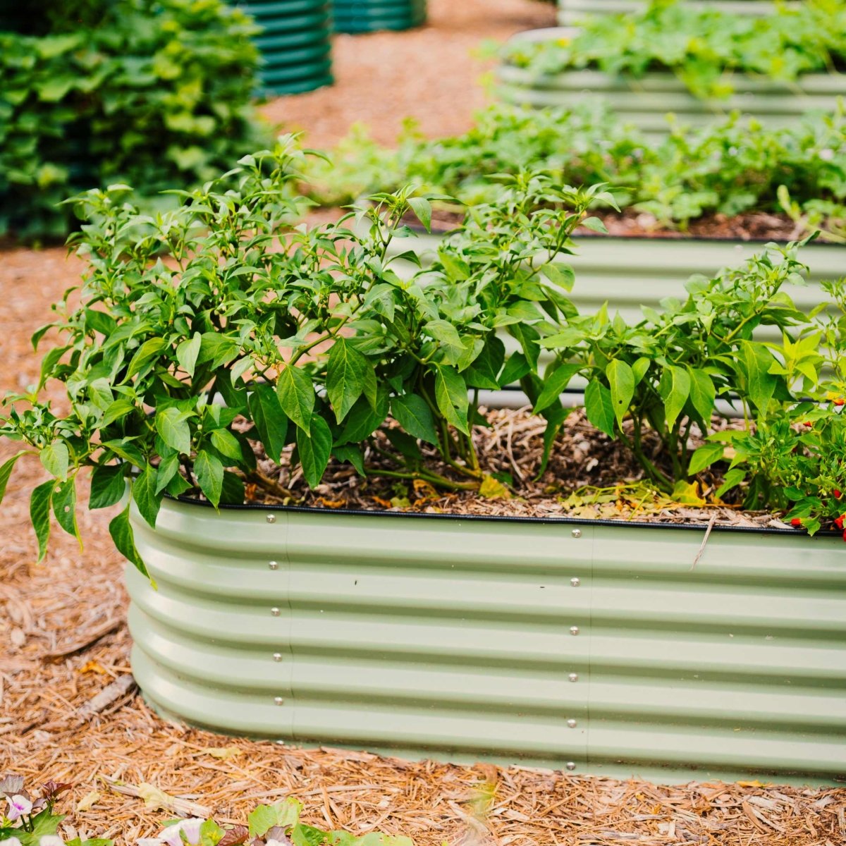 17" Tall 9 In 1 Large Modular Metal Raised Garden Bed Kit - Ed's Plant Shop