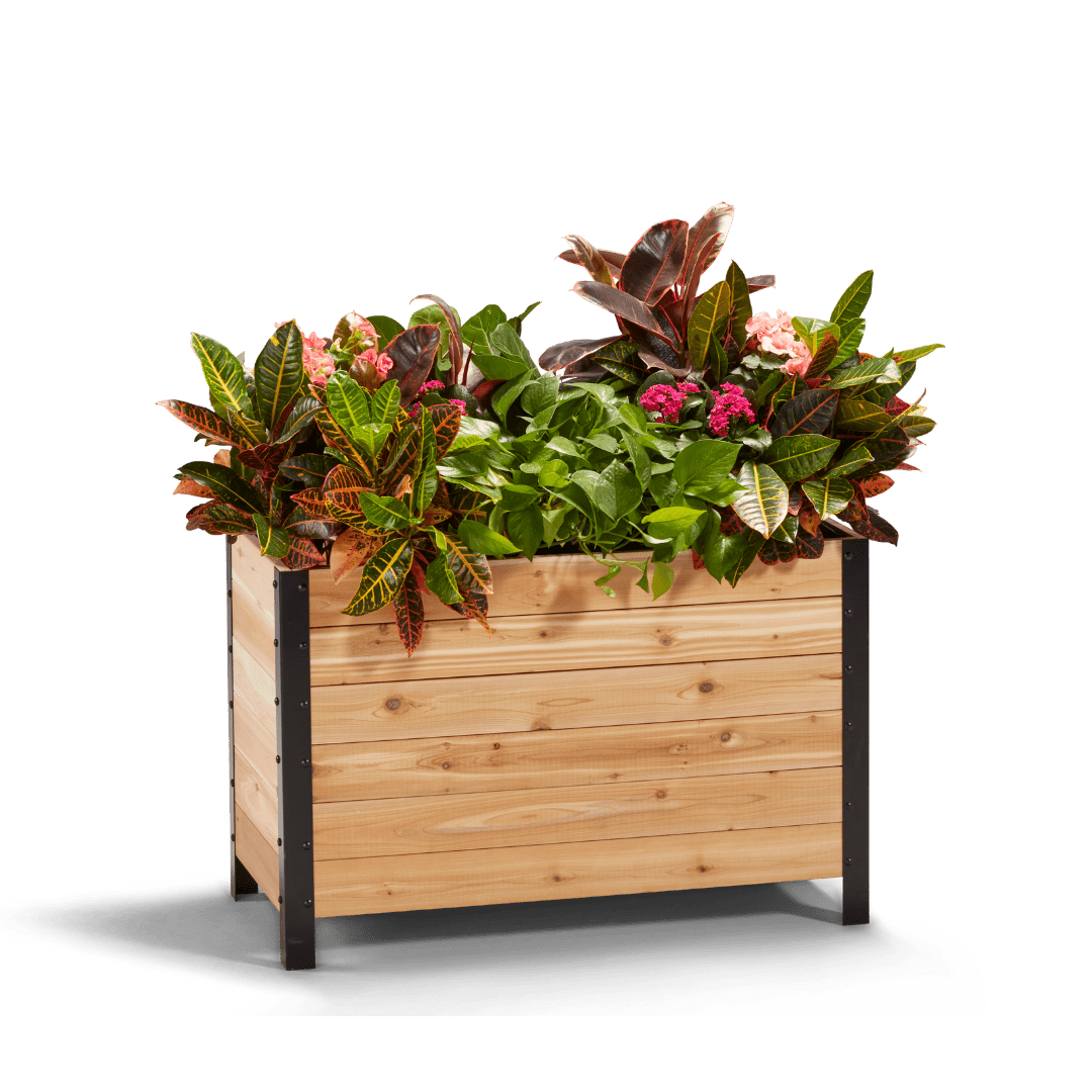 18" x 36" Planter Box - 24" TALL - Ed's Plant Shop
