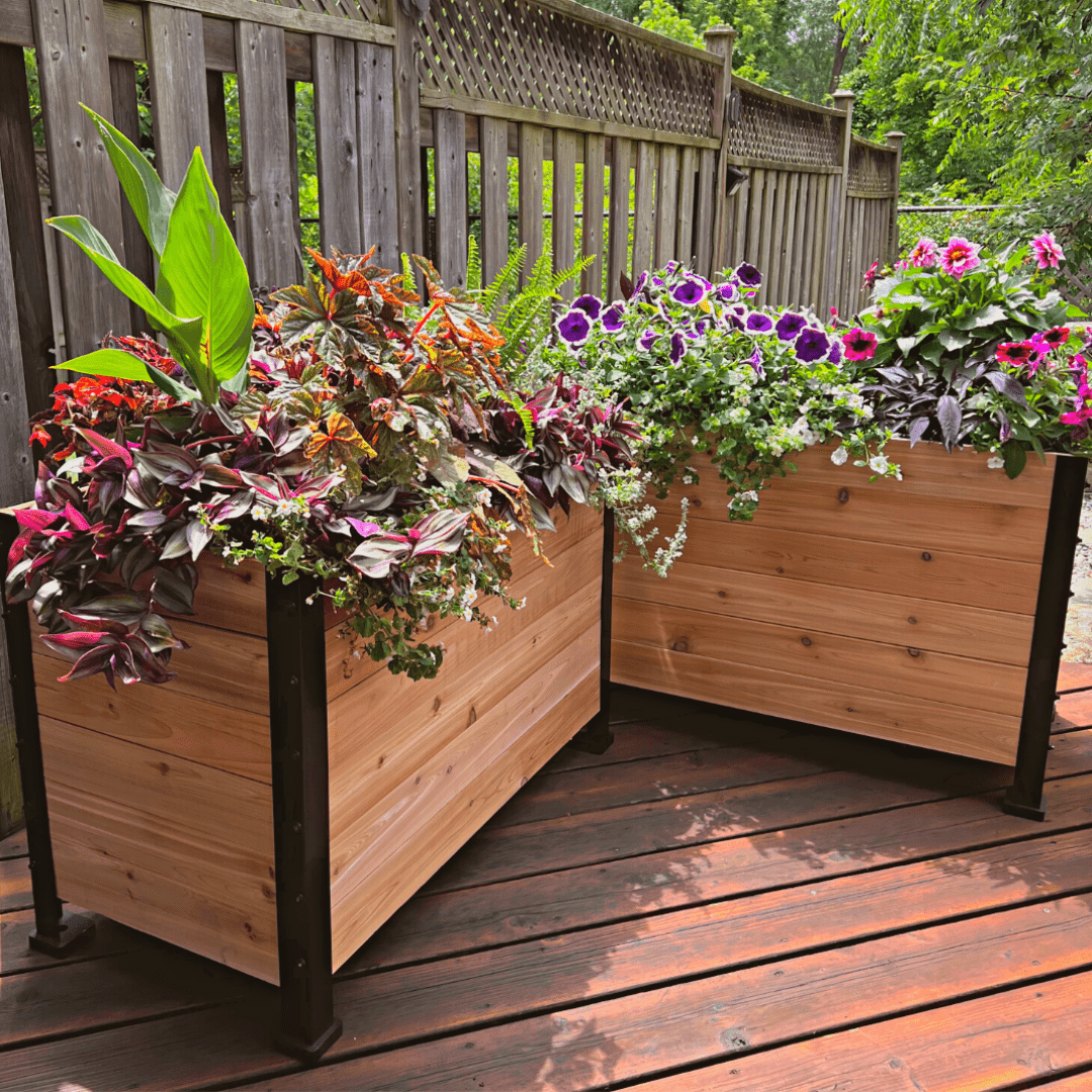 18" x 36" Planter Box - 24" TALL - Ed's Plant Shop