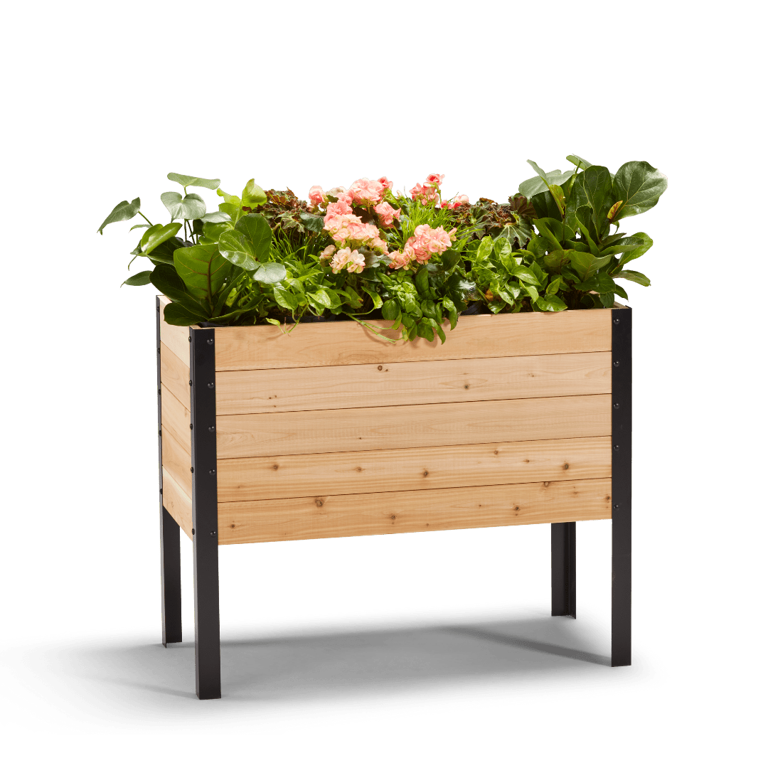 18" x 36" Raised Garden Bed - 30" TALL - Ed's Plant Shop