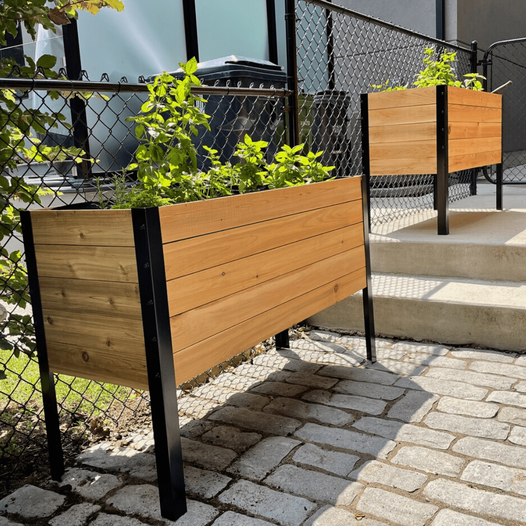 18" x 48" Raised Garden Bed - 30" TALL - Ed's Plant Shop