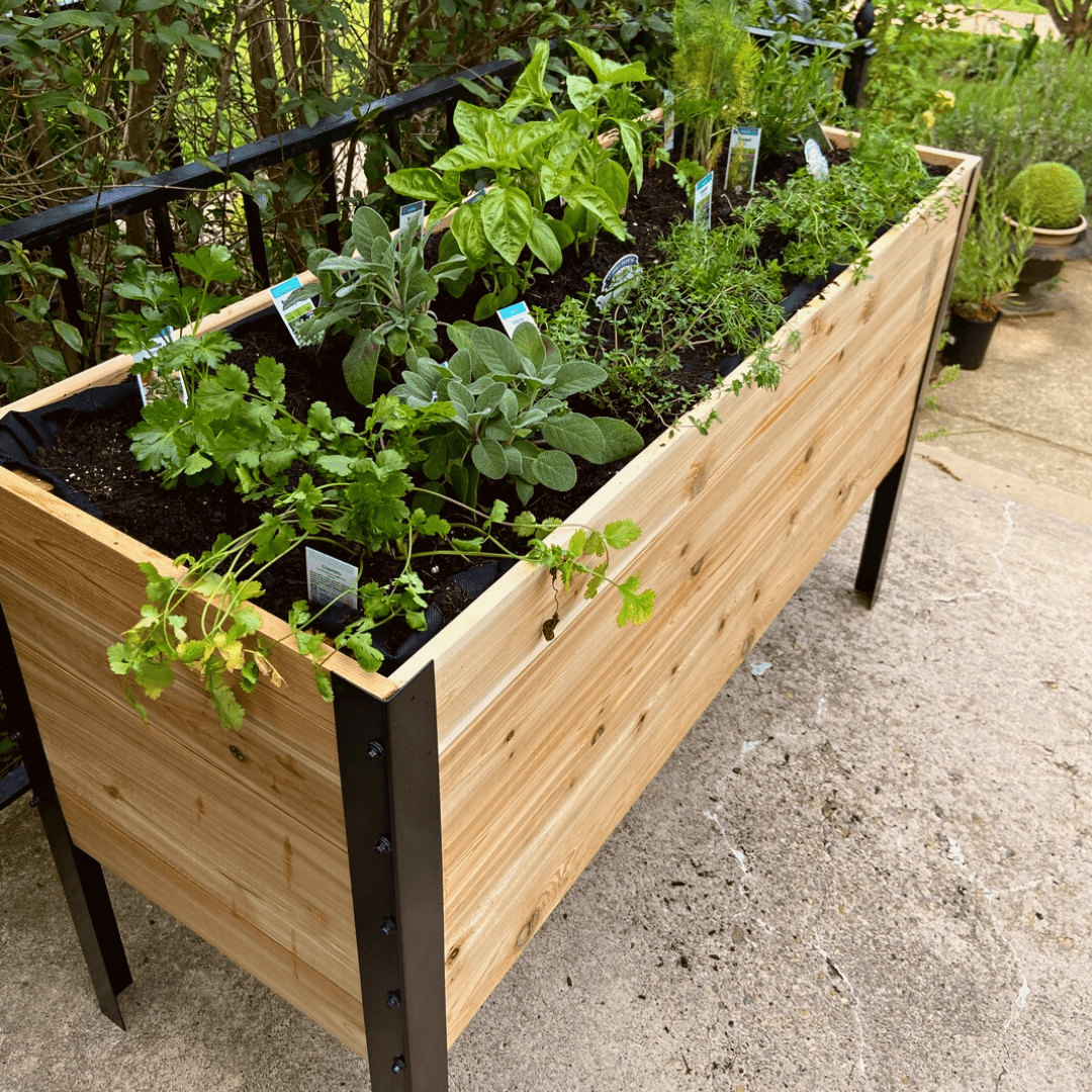 18" x 48" Raised Garden Bed - 30" TALL - Ed's Plant Shop