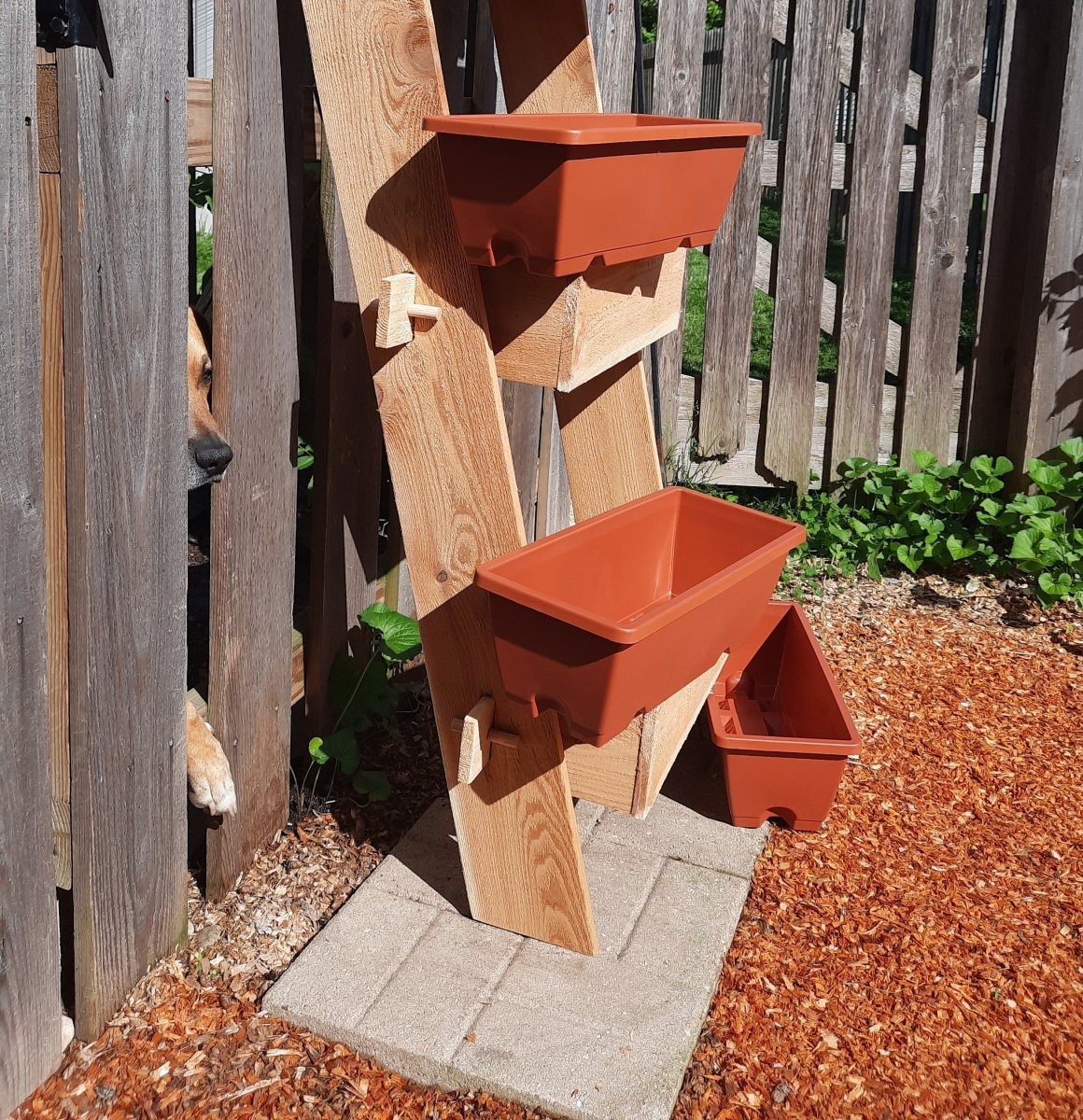 2 - Tier Vertical Cedar Ladder Planter Box for Small Spaces - Ed's Plant Shop