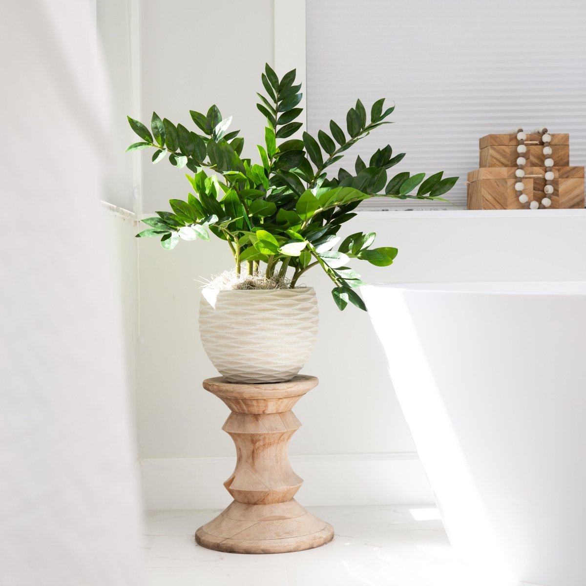 28" Artificial ZZ Plant | Faux Zamioculcas for Effortless Indoor Greenery - Ed's Plant Shop