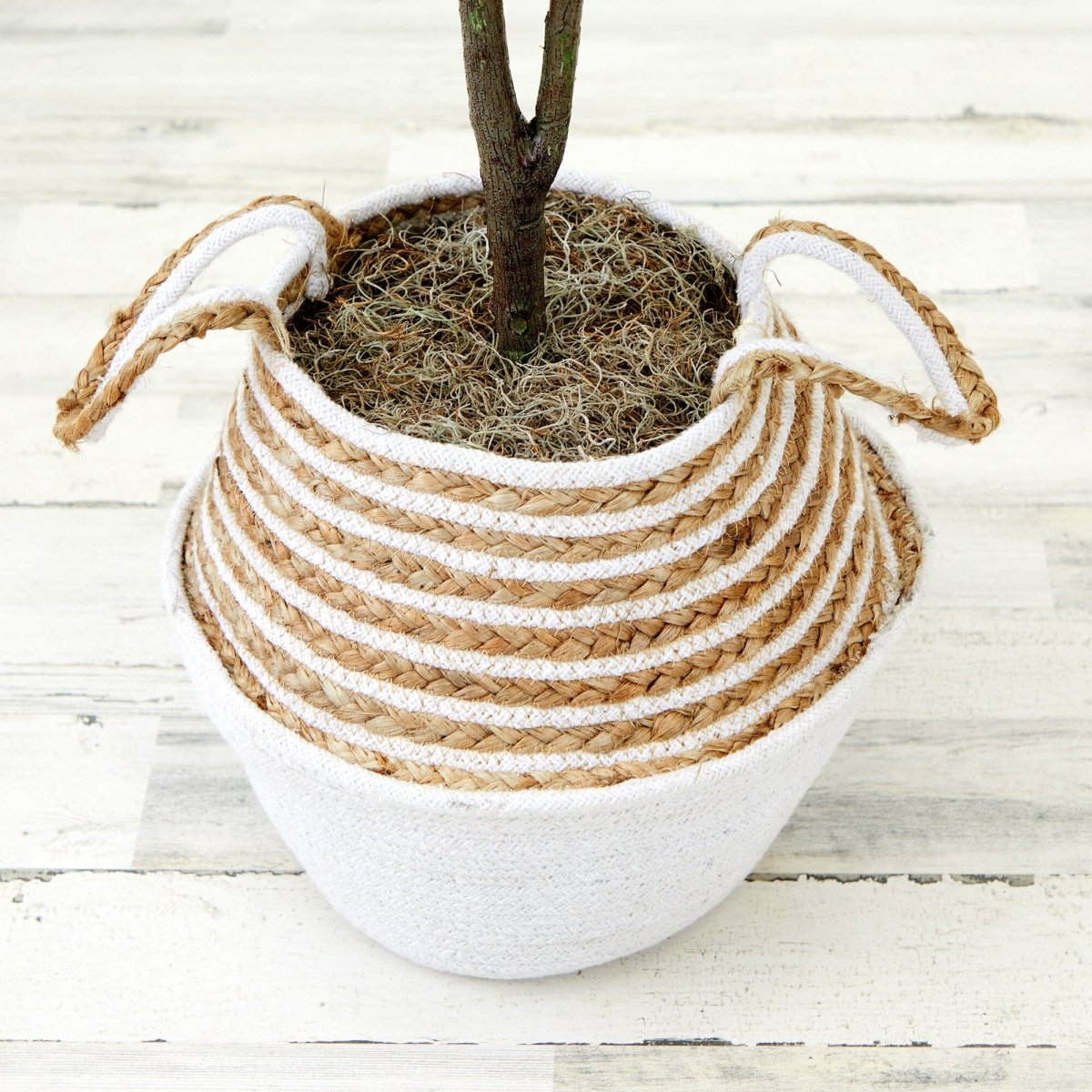 3' Artificial Fiddle Leaf Fig Tree with Handmade Cotton & Jute Woven Basket DIY Kit - Ed's Plant Shop