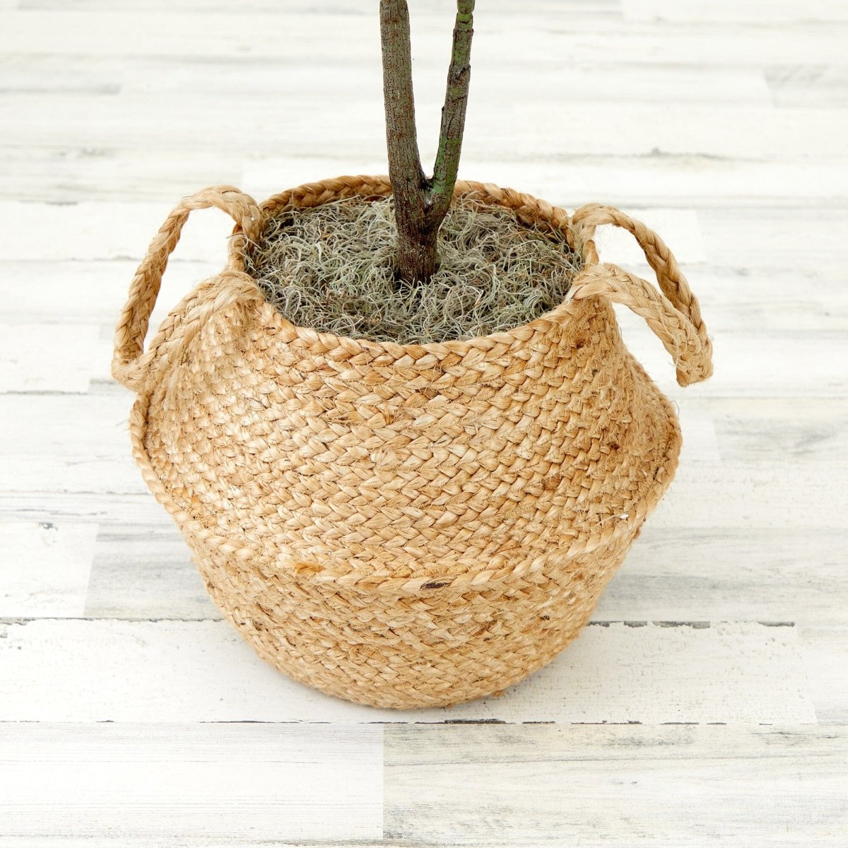 3' Artificial Fiddle Leaf Fig Tree with Handmade Cotton & Jute Woven Basket DIY Kit - Ed's Plant Shop
