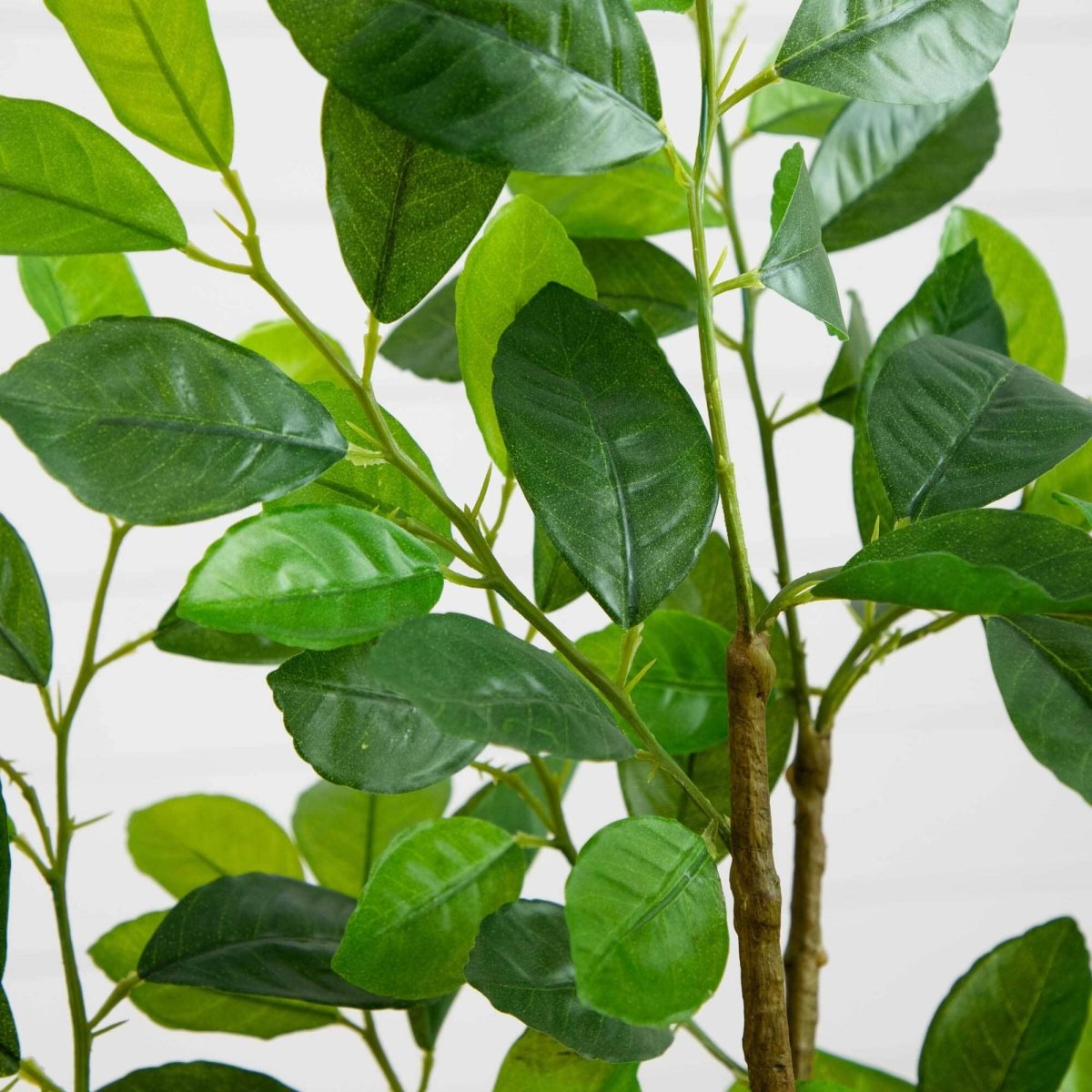 3’ Ficus Artificial Tree in Planter - Ed's Plant Shop