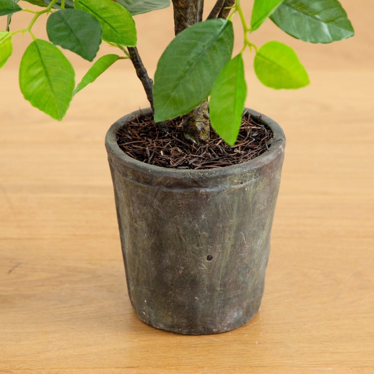 3’ Ficus Artificial Tree in Planter - Ed's Plant Shop