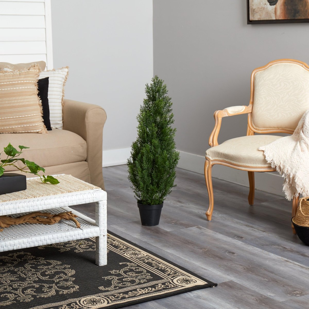 3’ Mini Cedar Pine Tree (Indoor/Outdoor) - Ed's Plant Shop