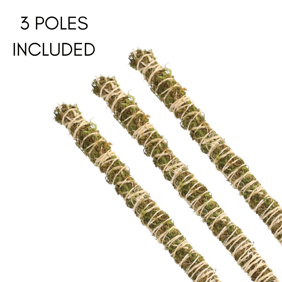 Three Bendable Moss Pole Thin supports in assorted sizes displayed on white background