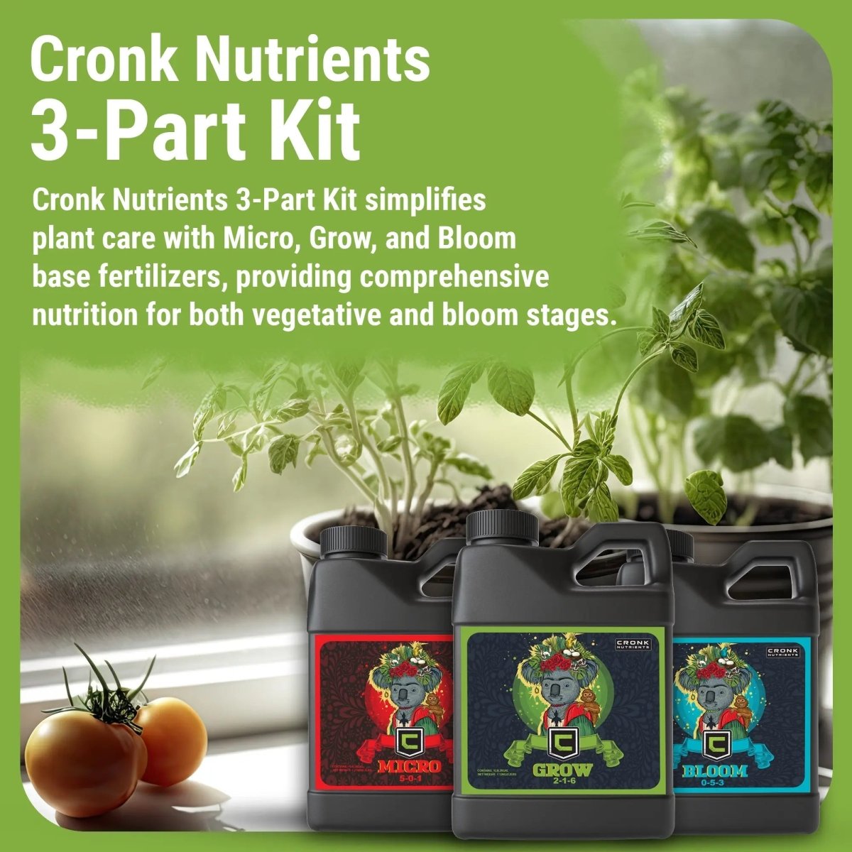 3 - Part Base Kit | Micro, Grow, Bloom - Ed's Plant Shop