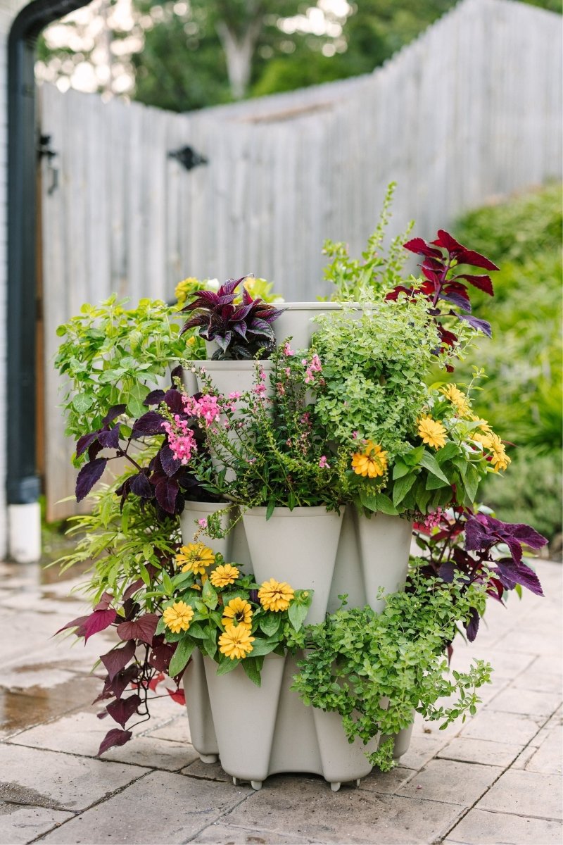 3 Tier GreenStalk Garden Original Vertical Planter - Basic Texture - Ed's Plant Shop