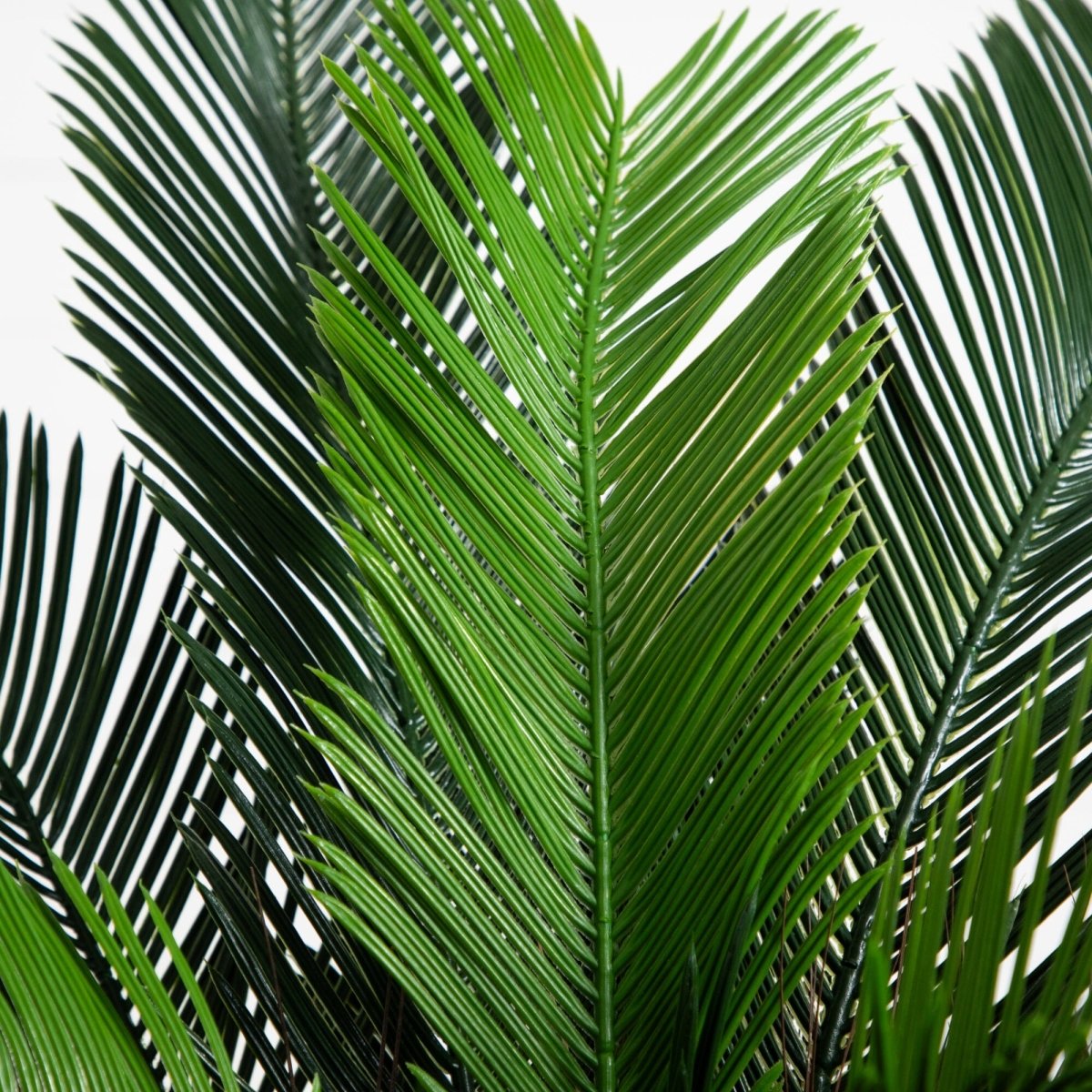 3′ UV‑Resistant Cycas Palm Tree – Indoor/Outdoor Faux Plant - Ed's Plant Shop