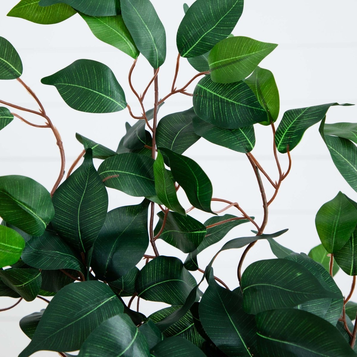 4' Ficus Auriculata Artificial Silk Tree – Lifelike Faux Tree with 504 Leaves - Ed's Plant Shop