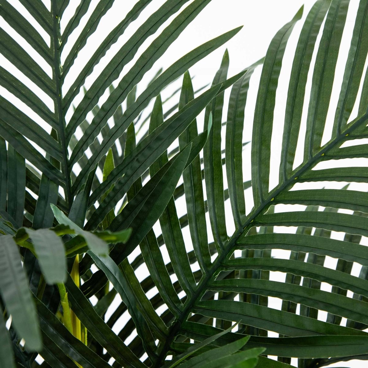 4 - ft Golden Cane Palm Artificial Tree - Ed's Plant Shop