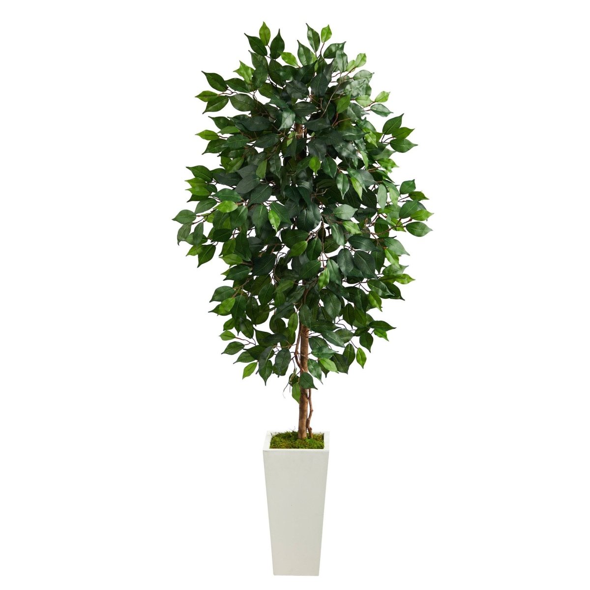 4.5’ Ficus Artificial Tree in White Planter - Ed's Plant Shop