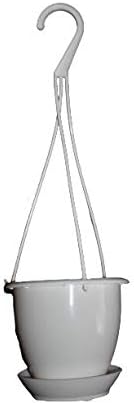 4.5" Mini White Plastic Hanging Basket - Ed's Plant Shop