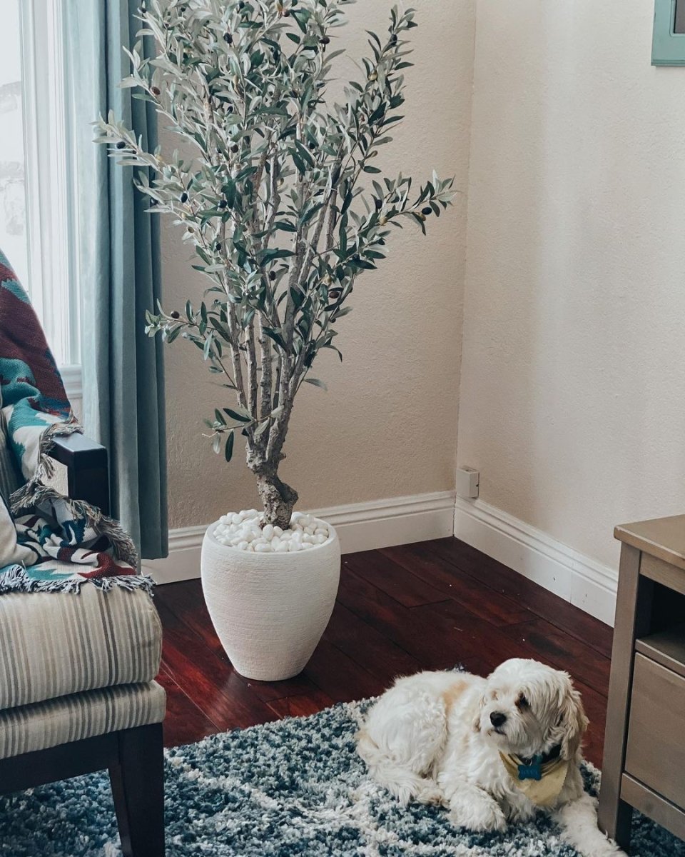 Dog lying on a rug next to a potted plant in a living room.