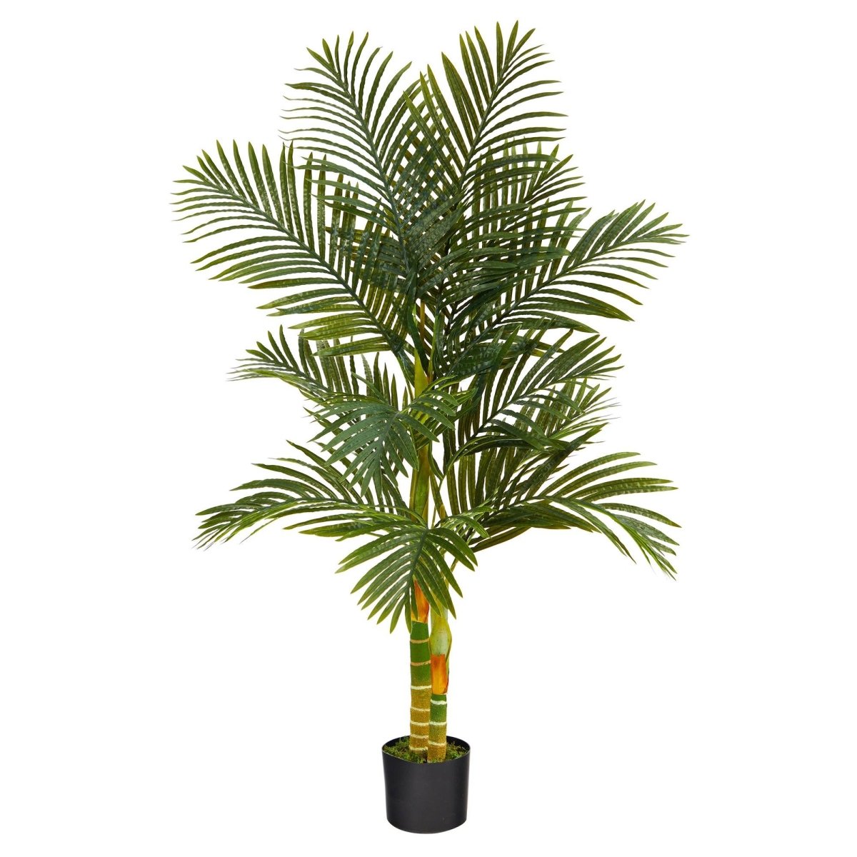 5’ Golden Cane Artificial Palm Tree - Bring Paradise Indoors - Ed's Plant Shop