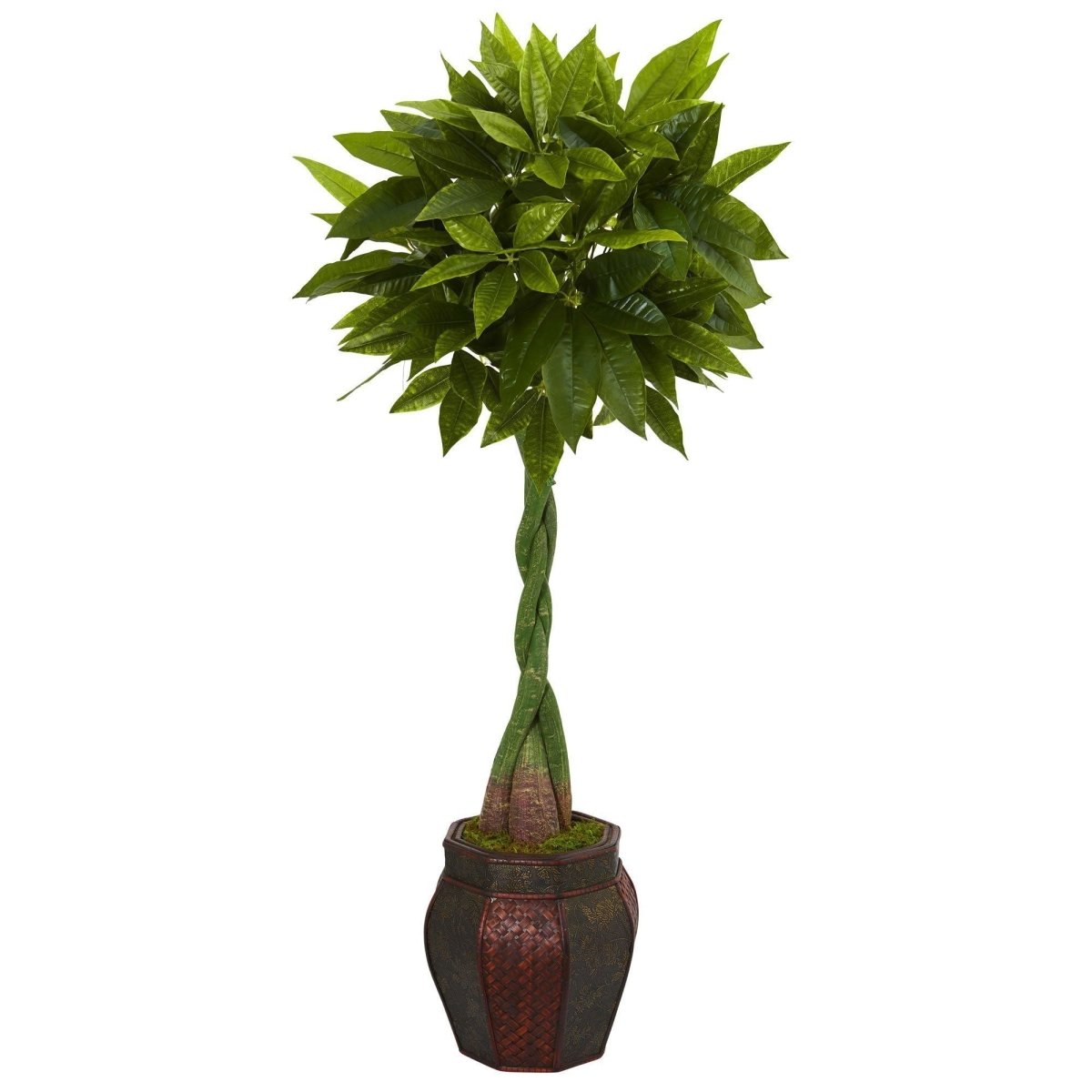 5’ Money Artificial Tree in Decorative Planter – Lifelike Faux Tree - Ed's Plant Shop