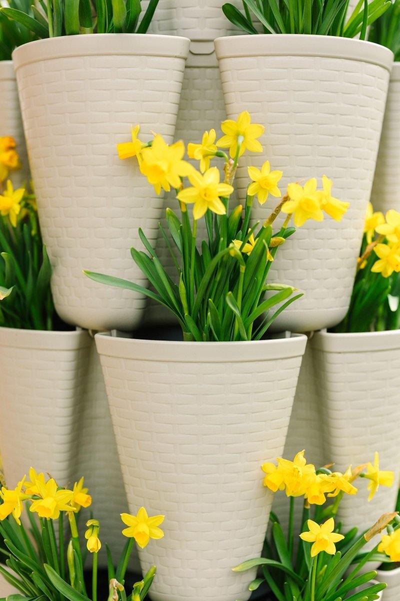 5 Tier GreenStalk Garden Original Vertical Planter - Basket Weave Texture - Ed's Plant Shop